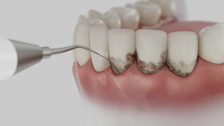 Reliable Dental contractor in Louisville, IL by Dentist Open Now